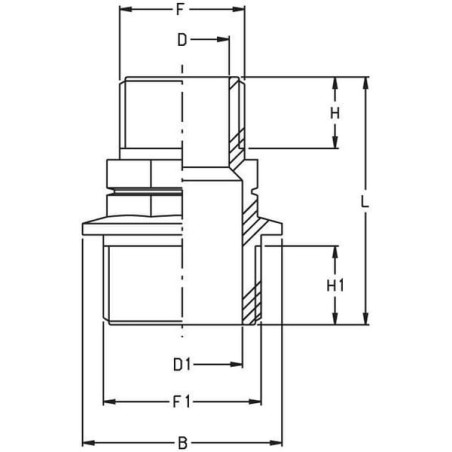 Raccord de réduction GEOLINE 8058101