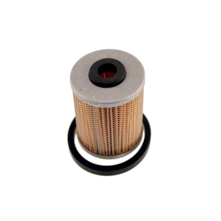 Filtre à carburant Ruggerini 175-32