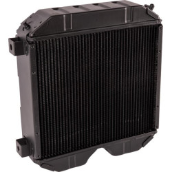 Radiateur GOLDONI 00031214