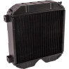 Radiateur GOLDONI 00031214