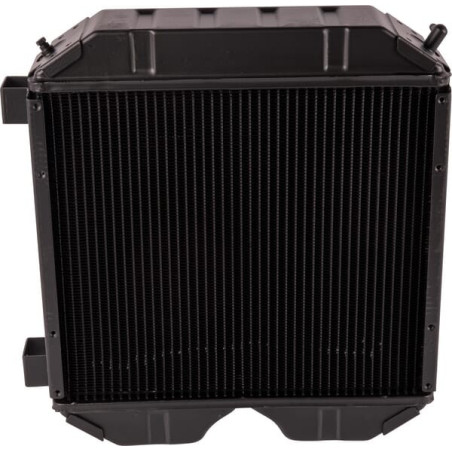 Radiateur GOLDONI 00031214