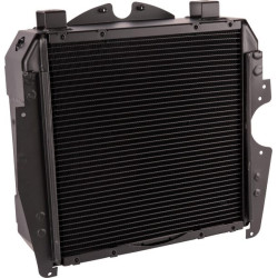 Radiateur GOLDONI 00062443