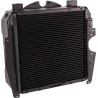 Radiateur GOLDONI 00062443