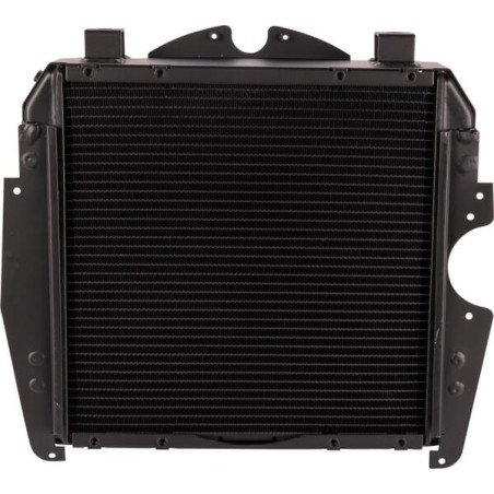 Radiateur GOLDONI 00062443