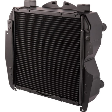Radiateur GOLDONI 00062443
