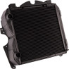 Radiateur GOLDONI 00062443