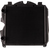 Radiateur GOLDONI 00062443