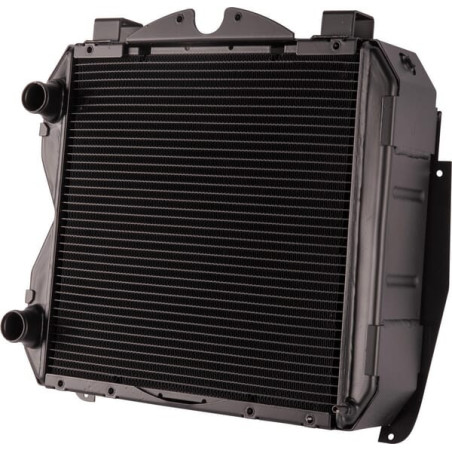 Radiateur GOLDONI 00062443