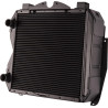 Radiateur GOLDONI 00062443