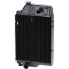 Radiateur UNIVERSEL AL39290N