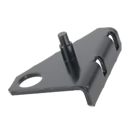Renfort de fixation ETESIA ET28273