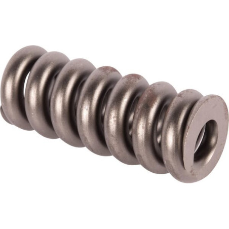 Ressort GOLDONI 00033855