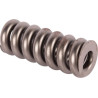Ressort GOLDONI 00033855