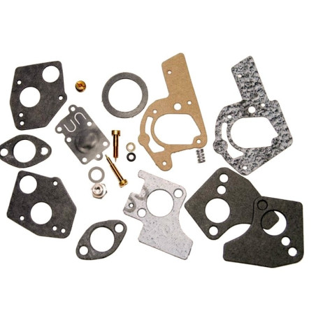 Kit réparation Briggs & Stratton 495606