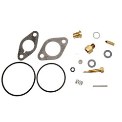 Kit réparation Tecumseh 29155 / 29157 / 30359 / 31390