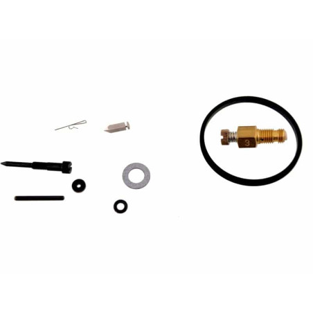 Kit réparation Tecumseh 31840