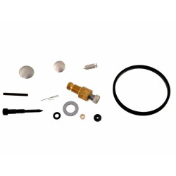 Kit réparation Tecumseh 631029
