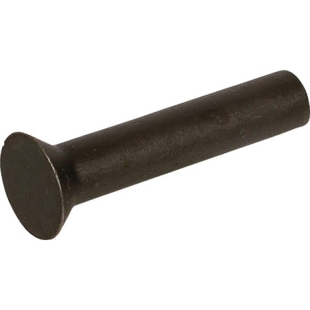 Rivet AMAZONE DH030