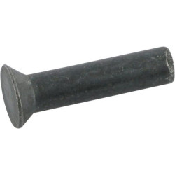 Rivet BECKER 200217313