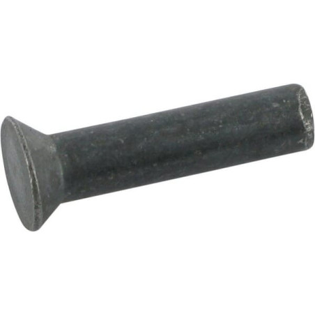Rivet BECKER 200217313