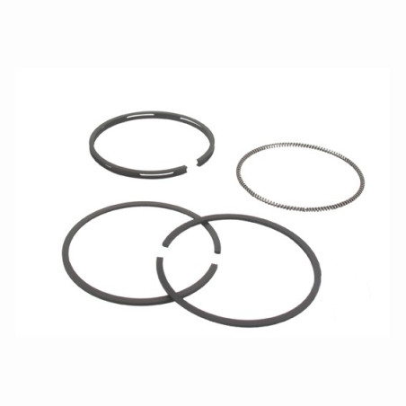 Segment Briggs & Stratton 493261 - 293261