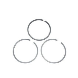 Segment Briggs et Stratton 590402