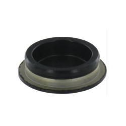 Bouchon de boite de transmissionTuff Torq 187T0136300