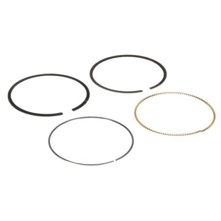 Jeu de segments Briggs et Stratton 791936 - 594437