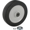 Roue SABO SAA13181