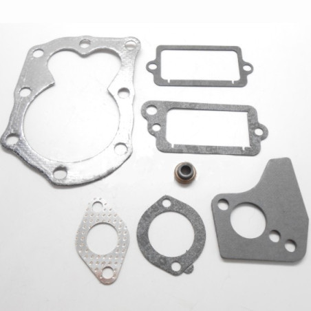 Pochette de joints Briggs et Stratton 699450