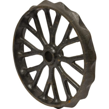 Roue DAL-BO 15689