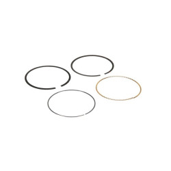 Segments BRIGGS ET STRATTON 594437