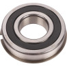 Roulement CARRARO CI120870