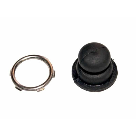Pompe d'amorçage Tecumseh 36045