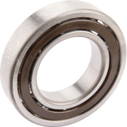 Roulement MASCHIO F04010192R