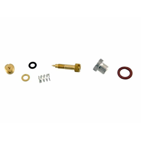 Kit vis de richesse Briggs & stratton 299060