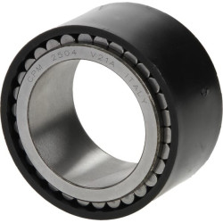 Roulement SPICER DANA 7300602601