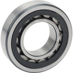 Roulement à rouleaux cylindriques 35x72x17 mm INA/FFAG NU207ETVP2C4
