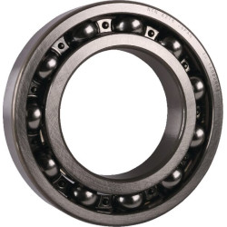Roulement CNH 3146254R91