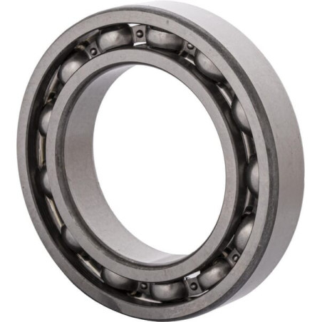 Roulement à billes CARRARO CI025782