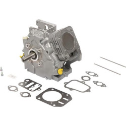 Cylindre BRIGGS ET STRATTON 795433