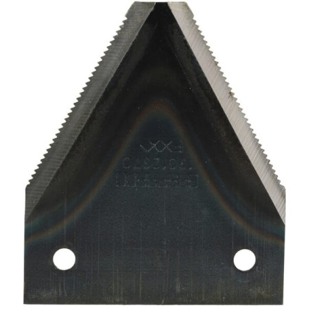 Section MASCHIO G21120243R