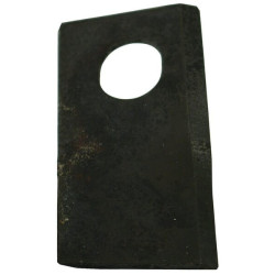 Section JF 8113800021