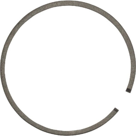 Segment SOLO 11872