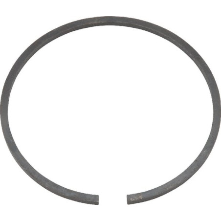 Segment BERTOLINI 818540002