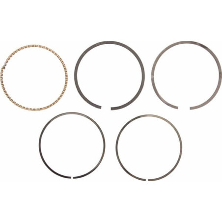 Segment KOHLER 2410815S