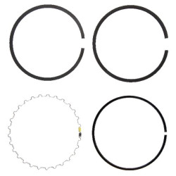 Segment KOHLER 5210809S