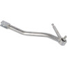 Arbre SDF 001484873