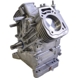 Shortblock BRIGGS ET STRATTON 496238