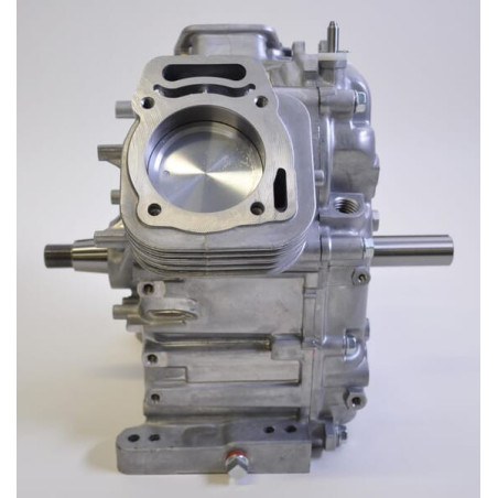 Shortblock BRIGGS ET STRATTON 496238